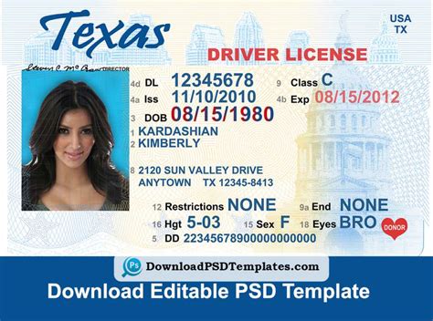 download drivers license online